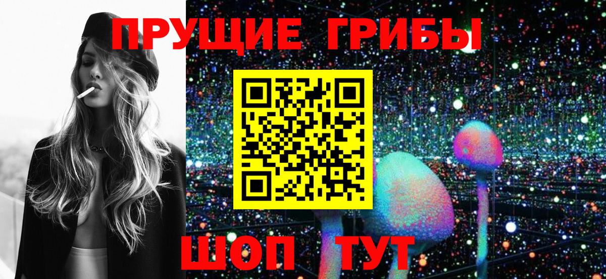 Псилоцибиновые грибы прущие грибы  Галлюциногенные грибы Cubensis  где найти наркотики  Михайловка  Вход с VPN 